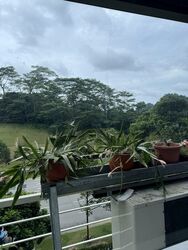Harvest @ Woodlands (D27), Factory #518311381